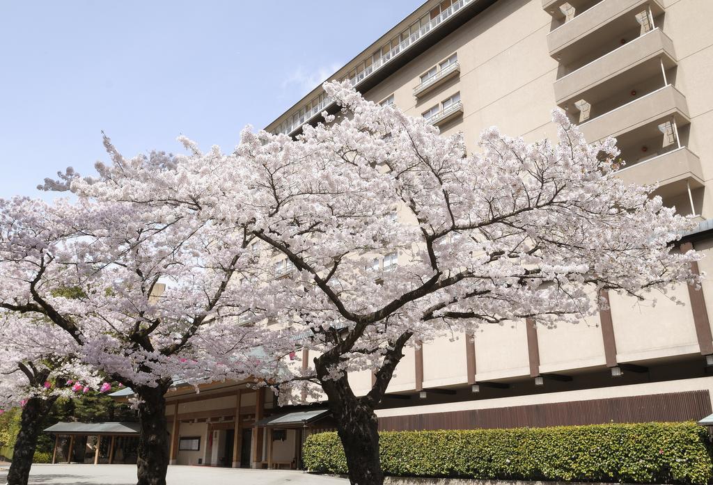 Suimeikan Gero Exterior photo Sakura trees in full bloom