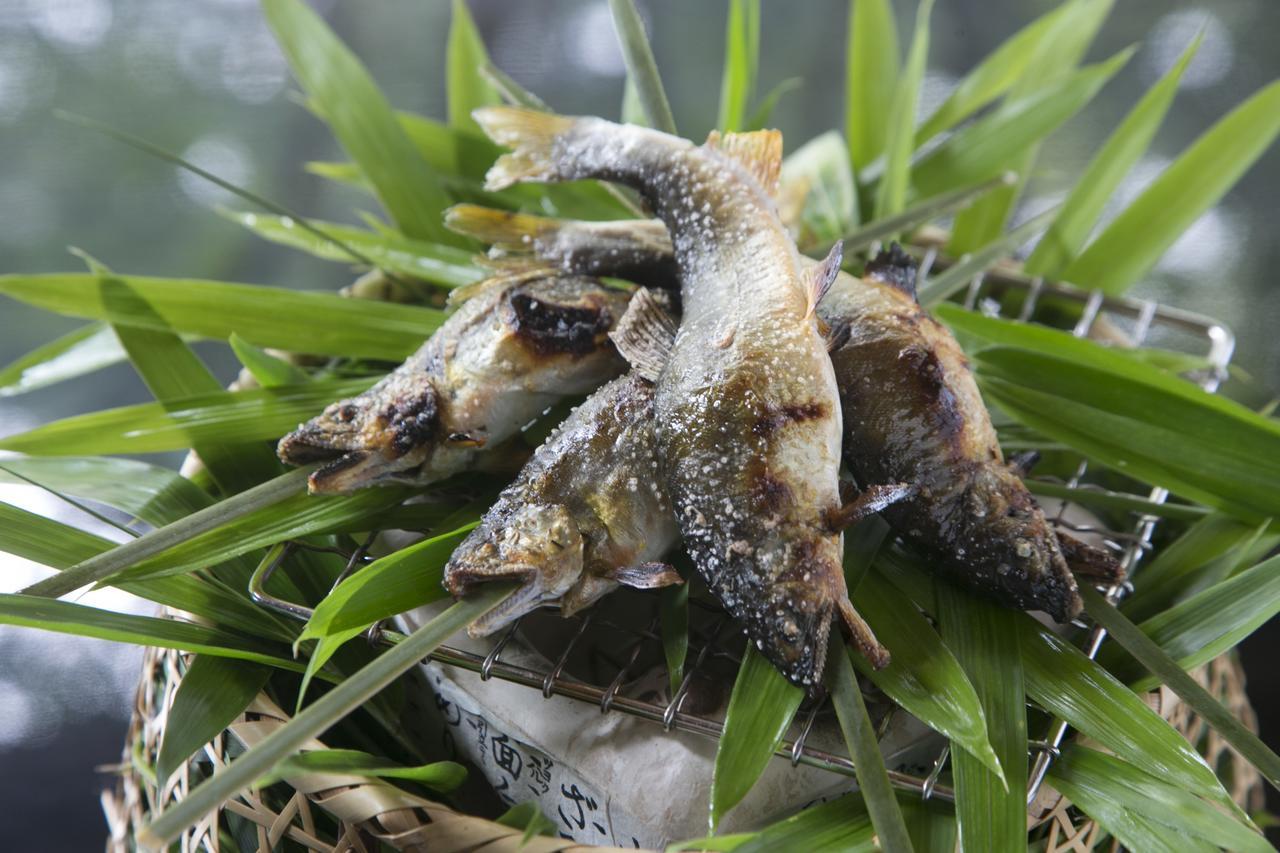 Suimeikan Gero Exterior photo A pair of the frogs