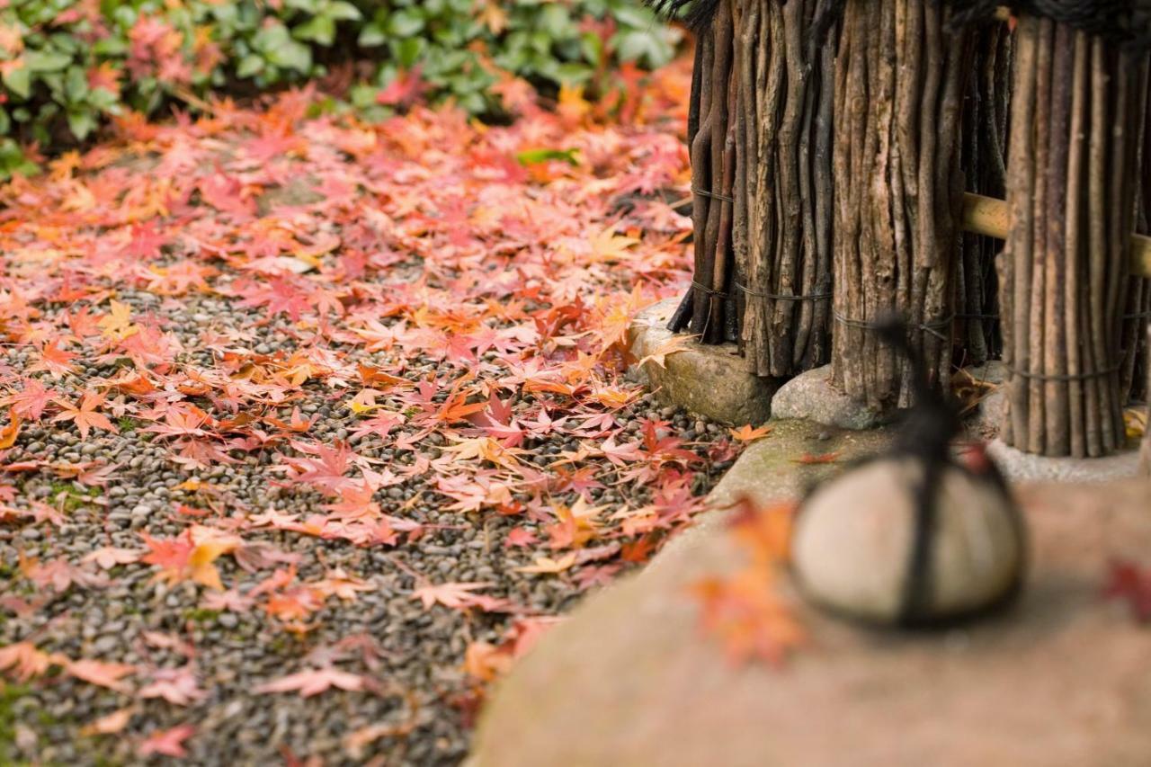 Suimeikan Gero Exterior photo Autumn leaves